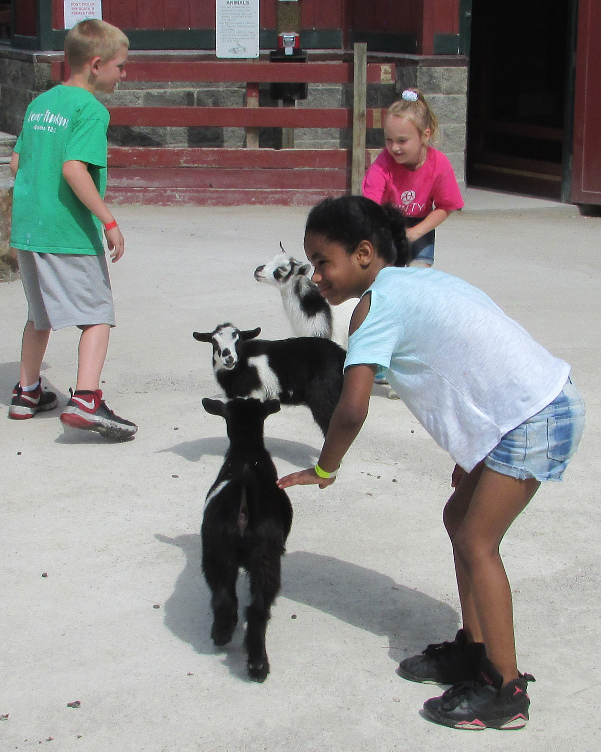 Scovill Zoo